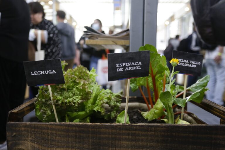 Expo Chile Agrícola - 4