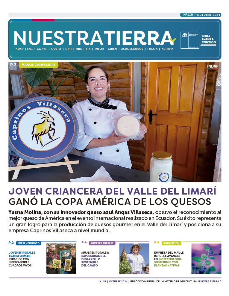 diario_nt_119_portada-2
