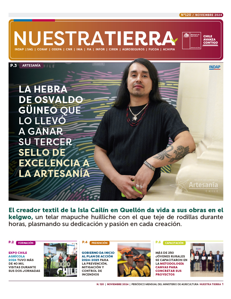 diario_nt_120_portada_flip