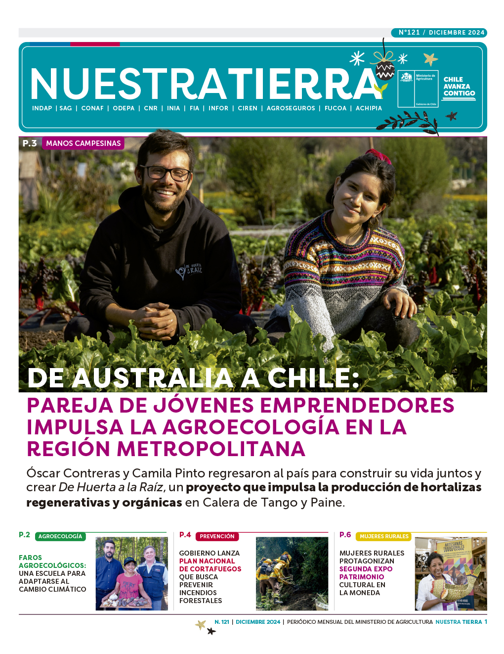 diario_nt_121_portada