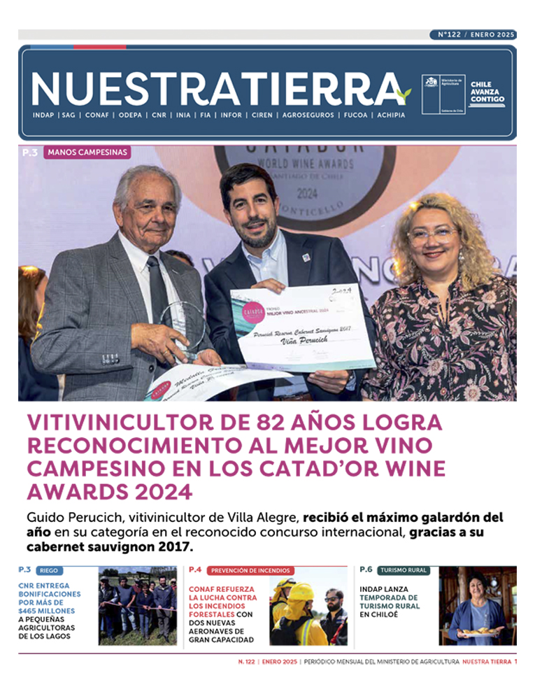 diario_nt_122_portada_flip