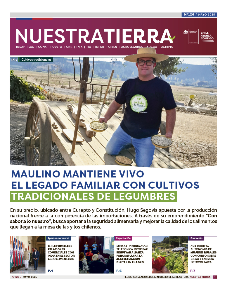 periodico_126_portada_web