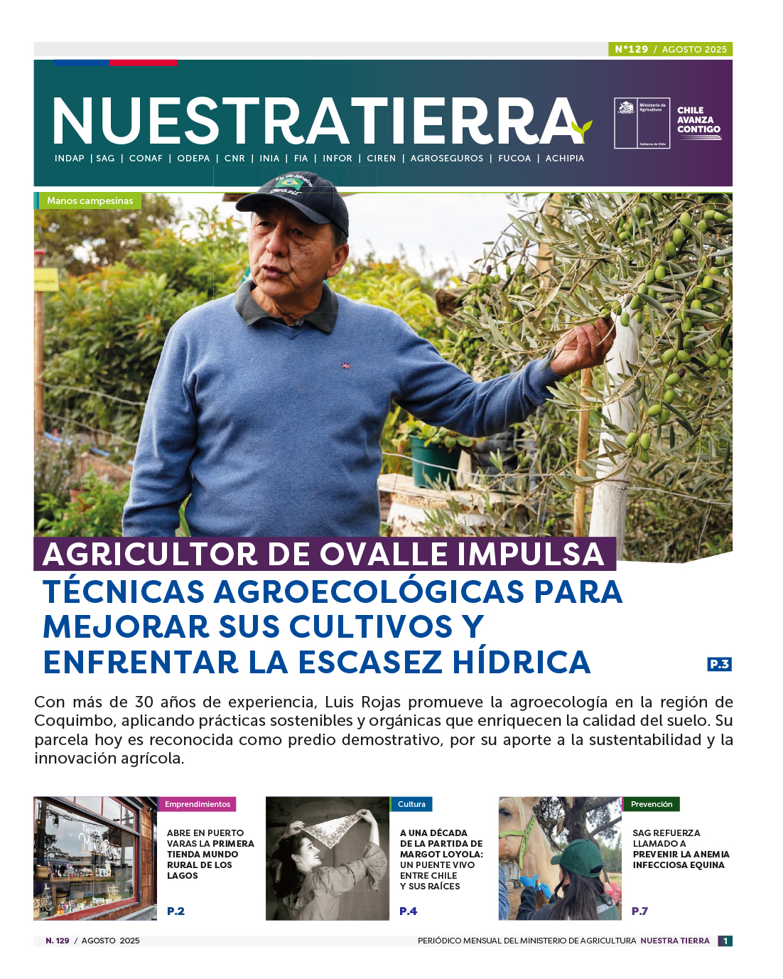 periodico_129_6agosto_portadaweb