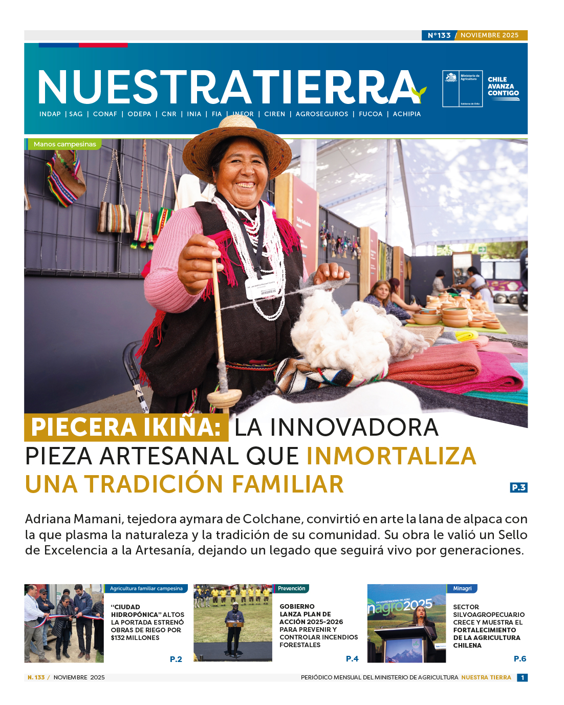 diario_nt_133_portadaweb