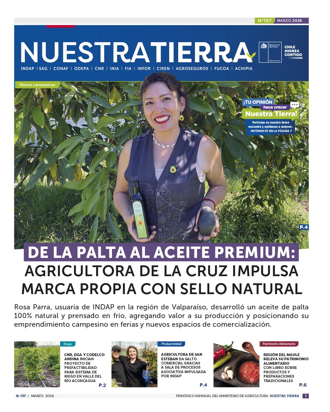 periodico_137_marzo_web
