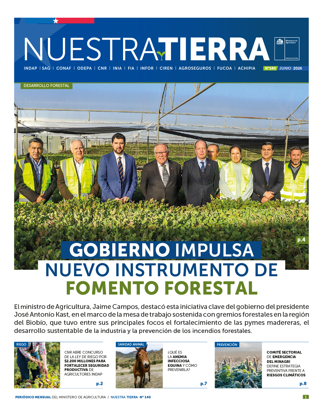 diario_nt_140-web