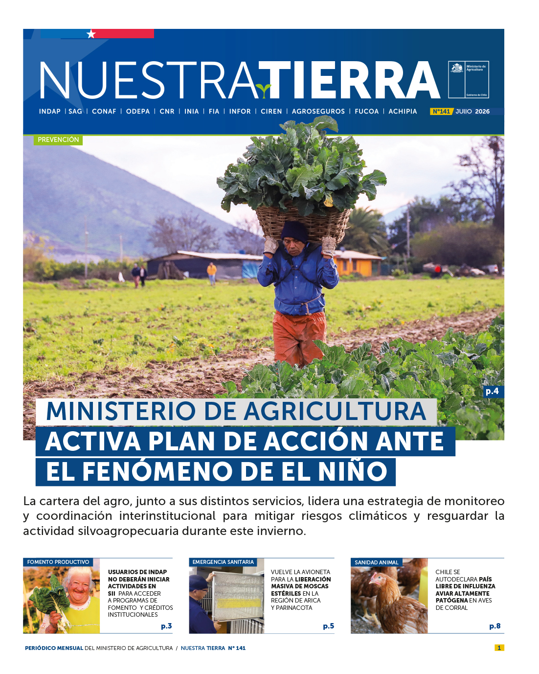 diario_nt_141_portada_web