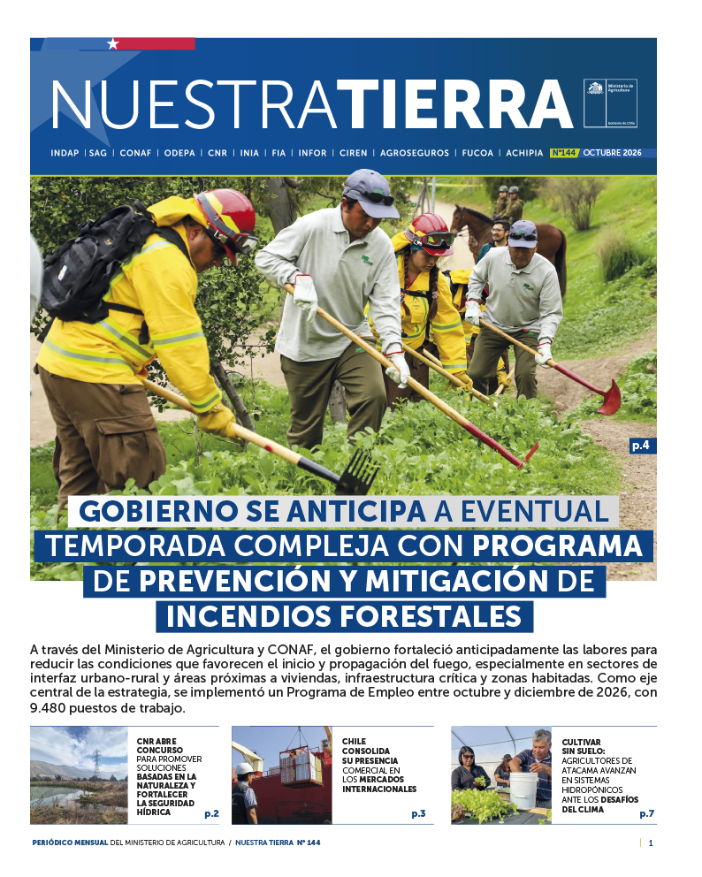 diario_nt_144-portada